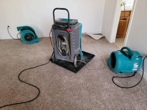Best 24-hour water damage restoration  in Palmer Lake, CO
